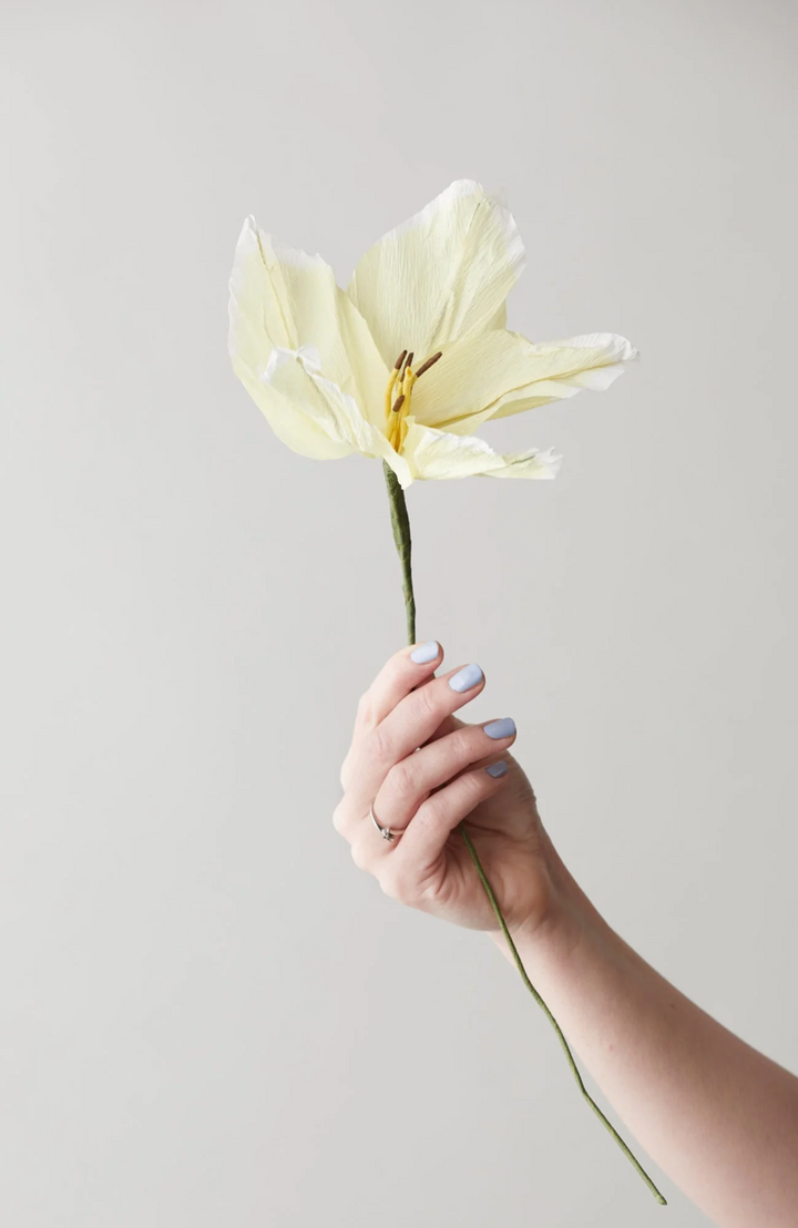 PAPER FLOWER LILY  Yellow