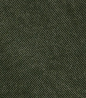 LEGACY SOFT WASHED COTTON  Green