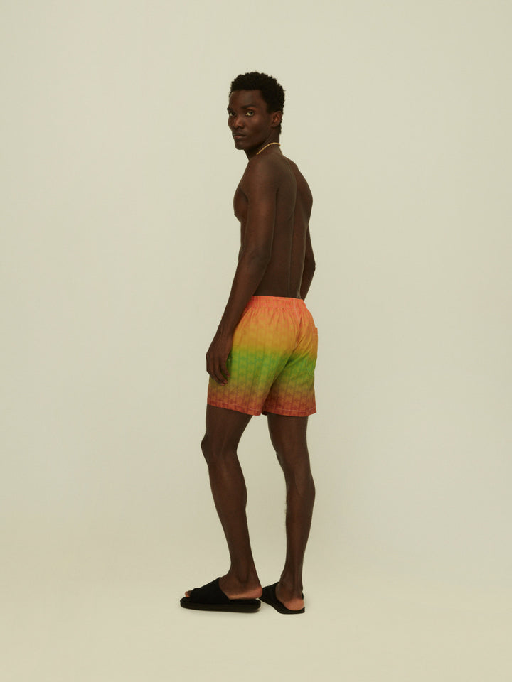 REGGAE AIR SWIM SHORTS