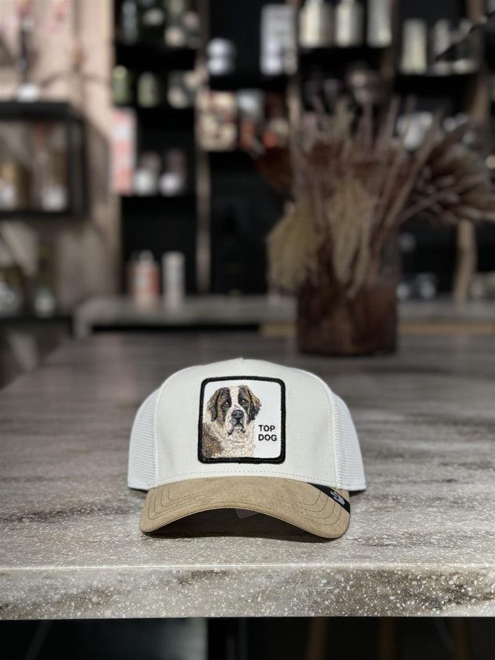 THE SUEDE ST BERNARD