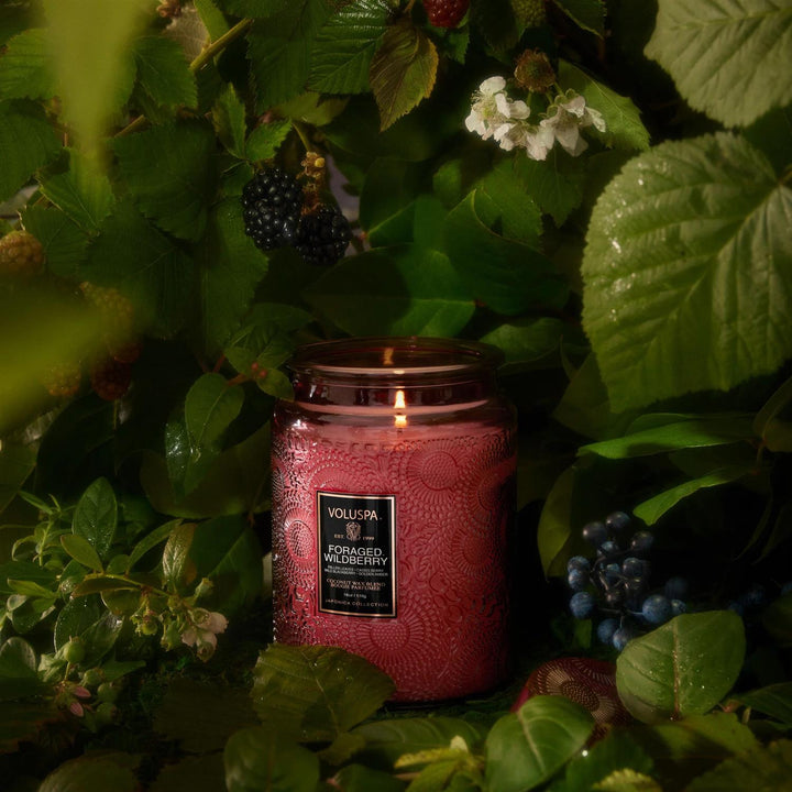 LARGE JAR CANDLE  Foraged Wildberry