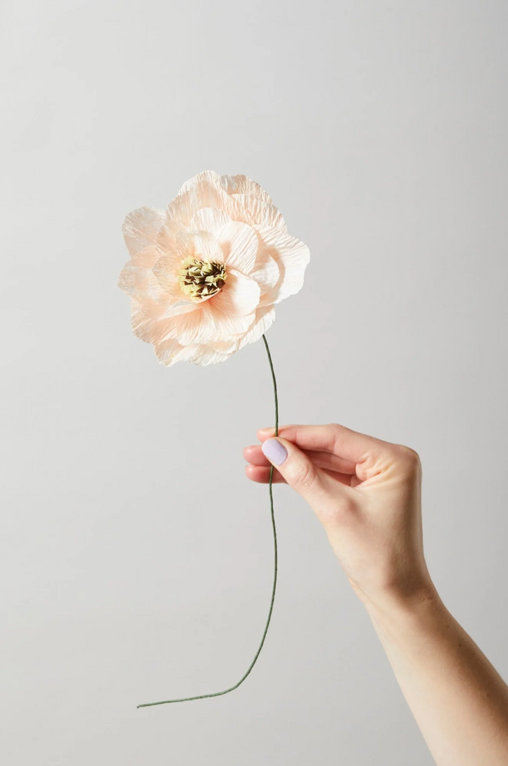 PAPER FLOWER POPPY  Nude