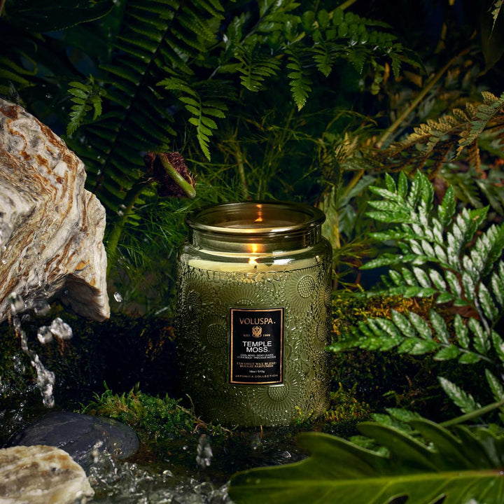 LARGE JAR CANDLE 100 TIM  Temple Moss